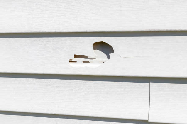 Best Siding Painting and Refinishing  in Hallsville, MO